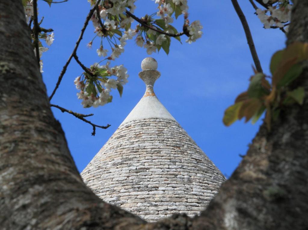 Maison d'hôtes Pietraluce à Alberobello Extérieur photo